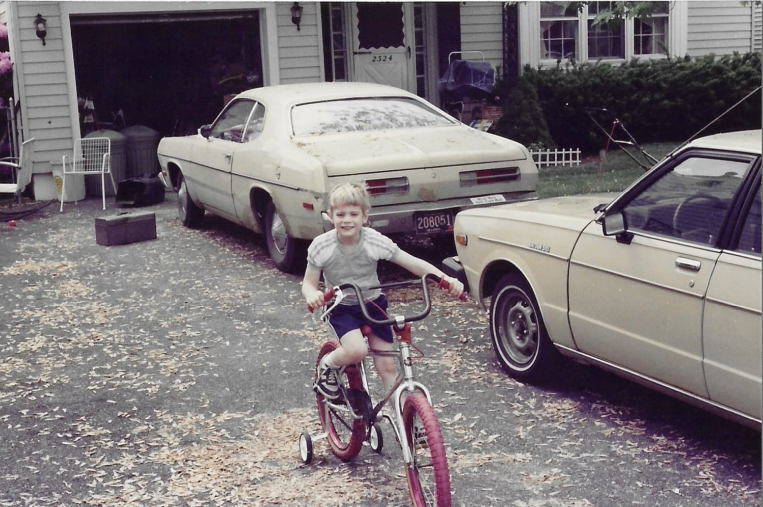 young rider