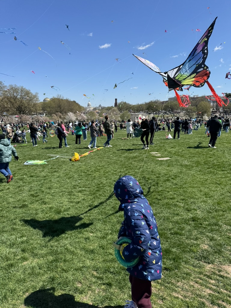kites on the national mall